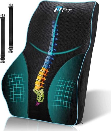 Ergonomic lumbar support cushion with spine alignment design.
