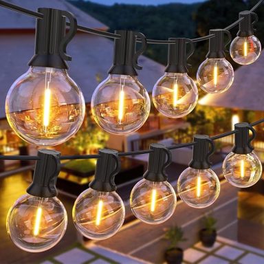String lights with glowing bulbs hang against a softly lit outdoor backdrop.