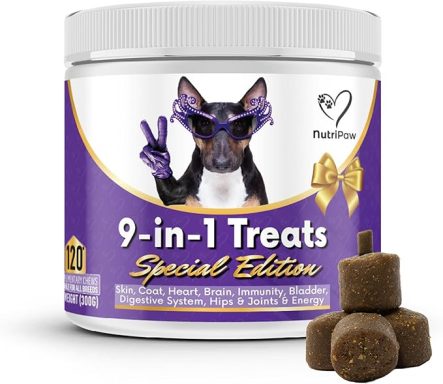 Container of 9-in-1 dog treats with a stylised dog wearing sunglasses on the label.