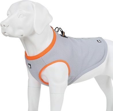A grey dog vest with orange trim, displayed on a dog model.